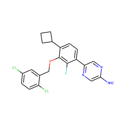 Nc1cnc(-c2ccc(C3CCC3)c(OCc3cc(Cl)ccc3Cl)c2F)cn1 ZINC000212116280
