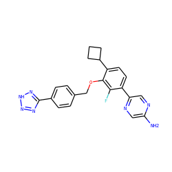 Nc1cnc(-c2ccc(C3CCC3)c(OCc3ccc(-c4nn[nH]n4)cc3)c2F)cn1 ZINC000212175014