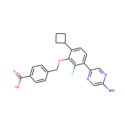Nc1cnc(-c2ccc(C3CCC3)c(OCc3ccc(C(=O)O)cc3)c2F)cn1 ZINC000212165777