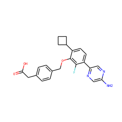 Nc1cnc(-c2ccc(C3CCC3)c(OCc3ccc(CC(=O)O)cc3)c2F)cn1 ZINC000212175327