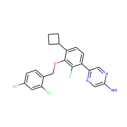 Nc1cnc(-c2ccc(C3CCC3)c(OCc3ccc(Cl)cc3Cl)c2F)cn1 ZINC000212116457