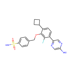 Nc1cnc(-c2ccc(C3CCC3)c(OCc3ccc(S(N)(=O)=O)cc3)c2F)cn1 ZINC000212178769