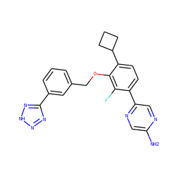Nc1cnc(-c2ccc(C3CCC3)c(OCc3cccc(-c4nn[nH]n4)c3)c2F)cn1 ZINC000212175126