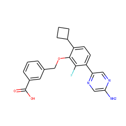 Nc1cnc(-c2ccc(C3CCC3)c(OCc3cccc(C(=O)O)c3)c2F)cn1 ZINC000212165684