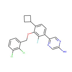 Nc1cnc(-c2ccc(C3CCC3)c(OCc3cccc(Cl)c3Cl)c2F)cn1 ZINC000212116369