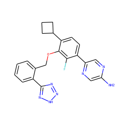 Nc1cnc(-c2ccc(C3CCC3)c(OCc3ccccc3-c3nn[nH]n3)c2F)cn1 ZINC000212178669