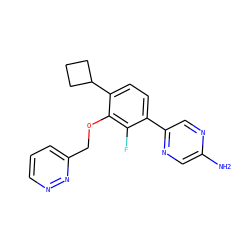 Nc1cnc(-c2ccc(C3CCC3)c(OCc3cccnn3)c2F)cn1 ZINC000224547093
