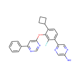 Nc1cnc(-c2ccc(C3CCC3)c(Oc3cc(-c4ccccc4)ncn3)c2F)cn1 ZINC000212153972