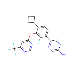Nc1cnc(-c2ccc(C3CCC3)c(Oc3cc(C(F)(F)F)ncn3)c2F)cn1 ZINC000224563282