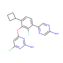 Nc1cnc(-c2ccc(C3CCC3)c(Oc3cc(Cl)nc(N)n3)c2F)cn1 ZINC000224550263