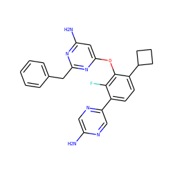 Nc1cnc(-c2ccc(C3CCC3)c(Oc3cc(N)nc(Cc4ccccc4)n3)c2F)cn1 ZINC000216875569