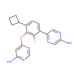Nc1cnc(-c2ccc(C3CCC3)c(Oc3cc(N)ncn3)c2F)cn1 ZINC000224573228