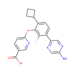 Nc1cnc(-c2ccc(C3CCC3)c(Oc3ccc(C(=O)O)cn3)c2F)cn1 ZINC000224545695