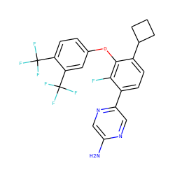Nc1cnc(-c2ccc(C3CCC3)c(Oc3ccc(C(F)(F)F)c(C(F)(F)F)c3)c2F)cn1 ZINC000224544204
