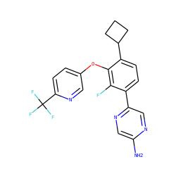 Nc1cnc(-c2ccc(C3CCC3)c(Oc3ccc(C(F)(F)F)nc3)c2F)cn1 ZINC000224572194
