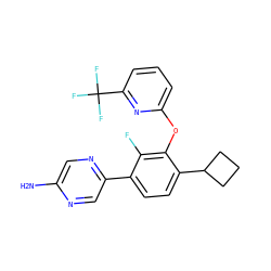Nc1cnc(-c2ccc(C3CCC3)c(Oc3cccc(C(F)(F)F)n3)c2F)cn1 ZINC000224568468