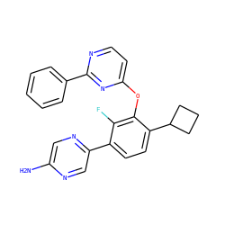 Nc1cnc(-c2ccc(C3CCC3)c(Oc3ccnc(-c4ccccc4)n3)c2F)cn1 ZINC000212154069