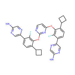 Nc1cnc(-c2ccc(C3CCC3)c(Oc3ccnc(Oc4c(C5CCC5)ccc(-c5cnc(N)cn5)c4F)n3)c2F)cn1 ZINC000224558667