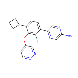 Nc1cnc(-c2ccc(C3CCC3)c(Oc3ccnnc3)c2F)cn1 ZINC000224553494
