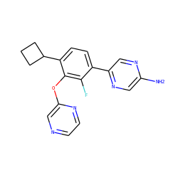 Nc1cnc(-c2ccc(C3CCC3)c(Oc3cnccn3)c2F)cn1 ZINC000224572123