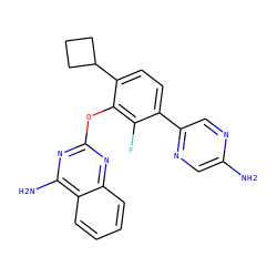 Nc1cnc(-c2ccc(C3CCC3)c(Oc3nc(N)c4ccccc4n3)c2F)cn1 ZINC000224569476