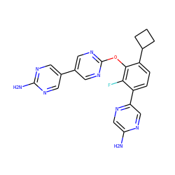 Nc1cnc(-c2ccc(C3CCC3)c(Oc3ncc(-c4cnc(N)nc4)cn3)c2F)cn1 ZINC000224557489