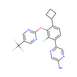 Nc1cnc(-c2ccc(C3CCC3)c(Oc3ncc(C(F)(F)F)cn3)c2F)cn1 ZINC000224562323