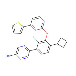 Nc1cnc(-c2ccc(C3CCC3)c(Oc3nccc(-c4cccs4)n3)c2F)cn1 ZINC000224558981