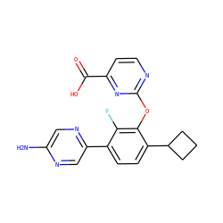 Nc1cnc(-c2ccc(C3CCC3)c(Oc3nccc(C(=O)O)n3)c2F)cn1 ZINC000224555890