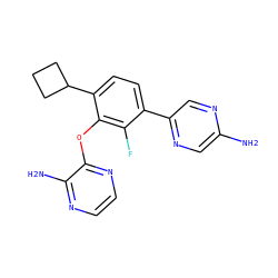 Nc1cnc(-c2ccc(C3CCC3)c(Oc3nccnc3N)c2F)cn1 ZINC000224549499