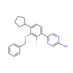 Nc1cnc(-c2ccc(C3CCCC3)c(OCc3ccccc3)c2F)cn1 ZINC000224571512