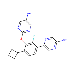 Nc1cnc(Oc2c(C3CCC3)ccc(-c3cnc(N)cn3)c2F)nc1 ZINC000212150184