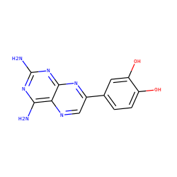 Nc1nc(N)c2ncc(-c3ccc(O)c(O)c3)nc2n1 ZINC000028711089