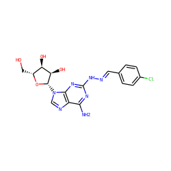 Nc1nc(N/N=C/c2ccc(Cl)cc2)nc2c1ncn2[C@@H]1O[C@H](CO)[C@@H](O)[C@H]1O ZINC000003932649