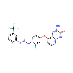 Nc1nc2c(Oc3ccc(NC(=O)Nc4cc(C(F)(F)F)ccc4F)c(F)c3)ccnc2[nH]c1=O ZINC000058541317