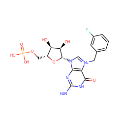 Nc1nc2c(c(=O)[nH]1)[n+](Cc1cccc(F)c1)cn2[C@@H]1O[C@H](COP(=O)(O)O)[C@@H](O)[C@H]1O ZINC000049089074
