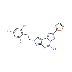 Nc1nc2nn(CCc3c(Br)cc(Br)cc3Br)cc2c2nc(-c3ccco3)nn12 ZINC000049709378