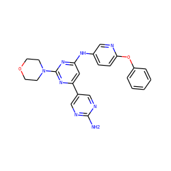 Nc1ncc(-c2cc(Nc3ccc(Oc4ccccc4)nc3)nc(N3CCOCC3)n2)cn1 ZINC000066076751