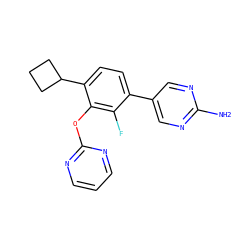 Nc1ncc(-c2ccc(C3CCC3)c(Oc3ncccn3)c2F)cn1 ZINC000212150361