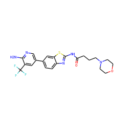 Nc1ncc(-c2ccc3nc(NC(=O)CCCN4CCOCC4)sc3c2)cc1C(F)(F)F ZINC000096283494