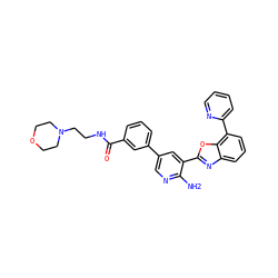 Nc1ncc(-c2cccc(C(=O)NCCN3CCOCC3)c2)cc1-c1nc2cccc(-c3ccccn3)c2o1 ZINC000103250006