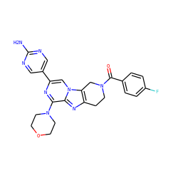 Nc1ncc(-c2cn3c4c(nc3c(N3CCOCC3)n2)CCN(C(=O)c2ccc(F)cc2)C4)cn1 ZINC000198533330