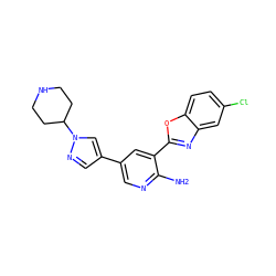 Nc1ncc(-c2cnn(C3CCNCC3)c2)cc1-c1nc2cc(Cl)ccc2o1 ZINC000084759299
