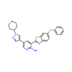 Nc1ncc(-c2cnn(C3CCNCC3)c2)cc1-c1nc2ccc(Oc3ccccc3)cc2o1 ZINC000103248524