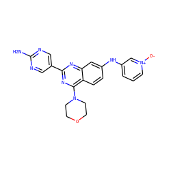 Nc1ncc(-c2nc(N3CCOCC3)c3ccc(Nc4ccc[n+]([O-])c4)cc3n2)cn1 ZINC000653713261