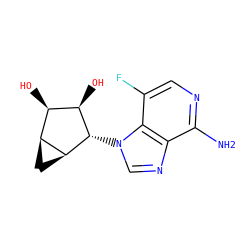 Nc1ncc(F)c2c1ncn2[C@H]1[C@H](O)[C@H](O)[C@@H]2C[C@@H]21 ZINC000169349404