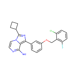Nc1nccn2c(C3CCC3)nc(-c3cccc(OCc4c(F)cccc4Cl)c3)c12 ZINC000028885525