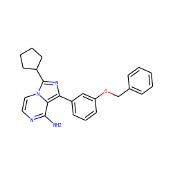 Nc1nccn2c(C3CCCC3)nc(-c3cccc(OCc4ccccc4)c3)c12 ZINC000053006831