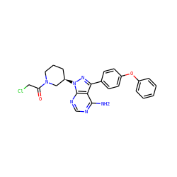 Nc1ncnc2c1c(-c1ccc(Oc3ccccc3)cc1)nn2[C@@H]1CCCN(C(=O)CCl)C1 ZINC000096167587