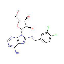 Nc1ncnc2c1nc(NCc1ccc(Cl)c(Cl)c1)n2[C@@H]1O[C@H](CO)[C@@H](O)[C@H]1O ZINC000040913495